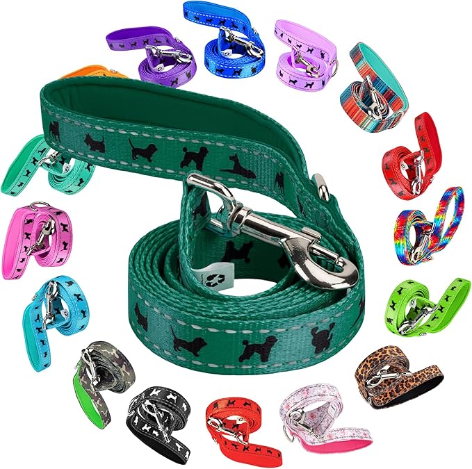EcoBark Dog Leash - Soft & Reflective Comfort Leash with Padded Handle - Safe, Strong, & Durable for Small, Medium or Large Dogs (Forest Green)