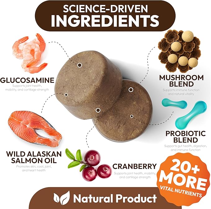 (2 Pack) Turkey Tail Mushroom for Dogs - 340 Chews - Lion’s Mane - Shiitake - Reishi - Buddy Immune Support Guard - Mushroom Supplement for Dogs with Glucosamine, Health Vitamins Multivitamin