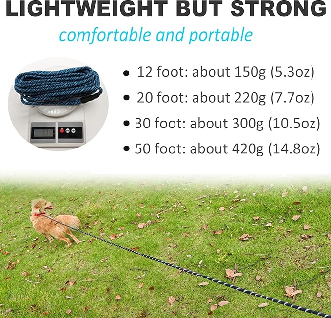 50FT Long Slip Lead Leash, 12ft 20ft 30ft Reflective Rope Training Lead Anti-Choking for Medium Dogs Small Puppy Pets Outdoor- Backyard- Playing- Recall- Traning (Blue)