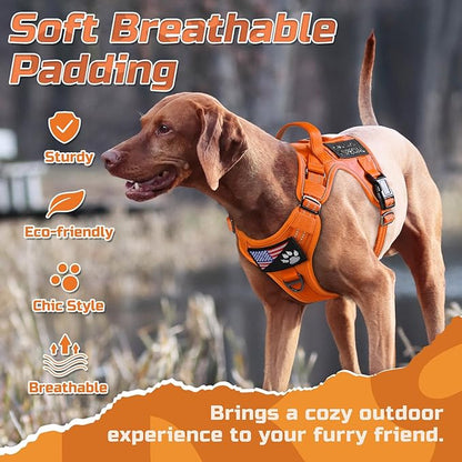 rabbitgoo Tactical Dog Harness for Small Dogs, No Pull Military Service Vest with Handle & Molle, Easy Control for Training Walking, Adjustable Reflective Straps, Orange, S