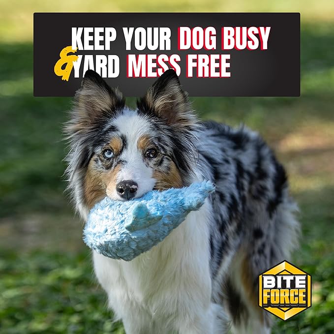 Bite Force - Durable & Strong Dog Toy Blue Whale with Squeaker, Kevlar-Reinforced Seams for Aggressive chewers- Blue.