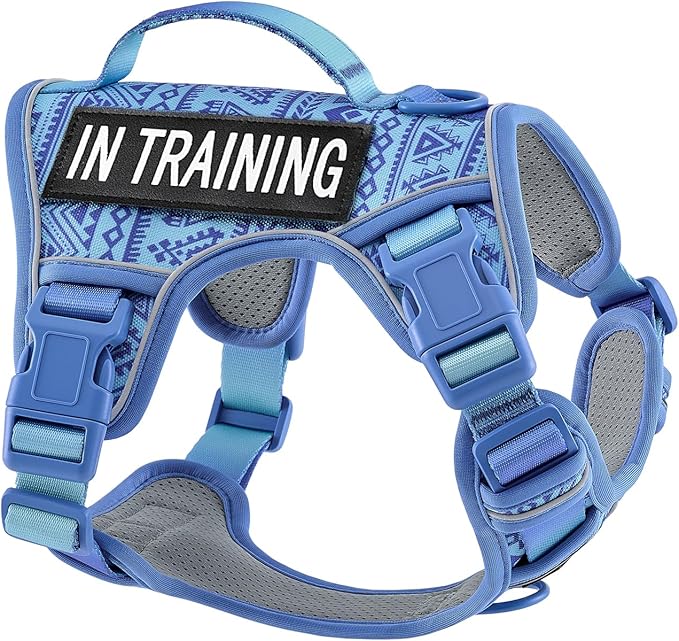 AUNZO No-Pull Dog Harness for XS Dogs, Anti-Escape Easy Walking Reflective Adjustable Lightweight Dog Vest with Breathable Oxford Material, Easy On/Off with Neck Buckle, Blue XS