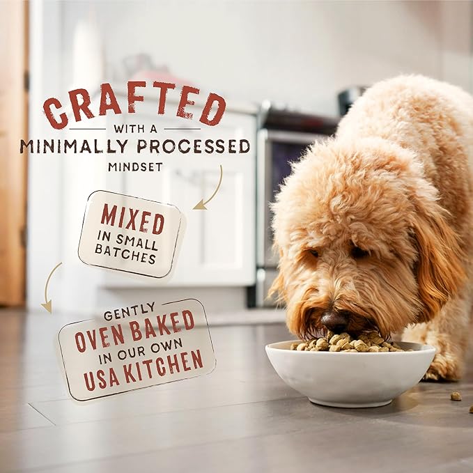 Stella & Chewy's SuperBlends Raw Coated Wholesome Grains Wild-Caught Whitefish & Salmon Recipe with Superfoods, 21 lb. Bag
