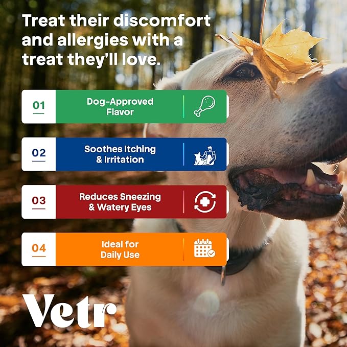 Vetr Allergy Relief Chews for Dogs - Dog Itching Skin Relief, Dog Allergy Treats with Probiotics and Omega-3 - Chicken Flavored 60 Count - Vet-Formulated in USA
