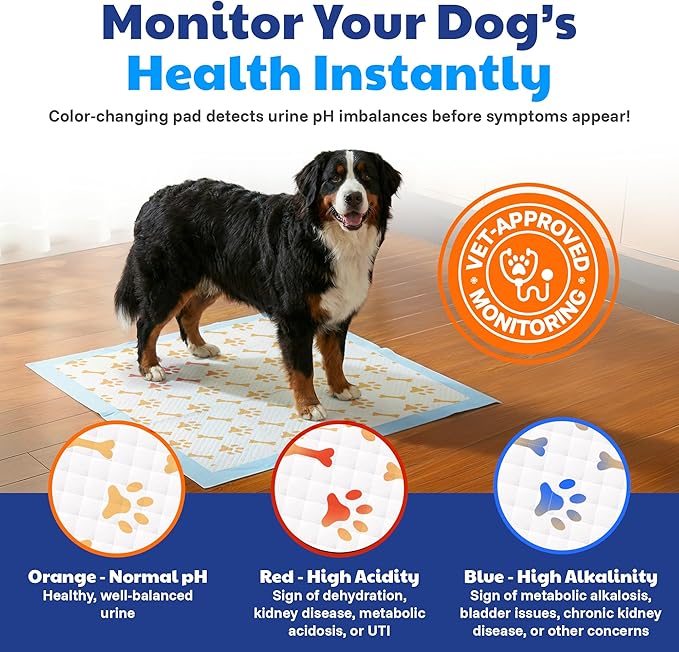 American Kennel Club Advanced Puppy Pads with Color-Changing Health+ Indicator and Ultra Absorbent Quick Dry Gel – 28''x30'' Leakproof Training Pads for Dogs – Fresh Scented – 50 Count, X-Large