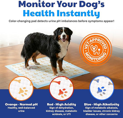 American Kennel Club Advanced Puppy Pads with Color-Changing Health+ Indicator and Ultra Absorbent Quick Dry Gel – 28''x30'' Leakproof Training Pads for Dogs – Fresh Scented – 50 Count, X-Large