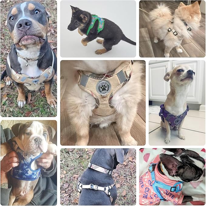 BEAUTYZOO Step in Dog Harness Collar and Leash Set for Small Medium Large Dogs, No Pull No Choke Puppy Harness, Soft Mesh Reflective Pet Padded Vest Adjustable for Doggie Girl or Boy,French Bulldog