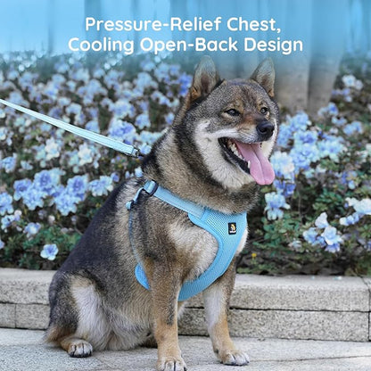 BELLA & PAL Adjustable Step-in Dog Harness, Puppy No-Pull Vest with Leash Set for XS/Small & Medium Dog, Breathable All-Weather Mesh, Reflective Strip, Secure Hook & Loop