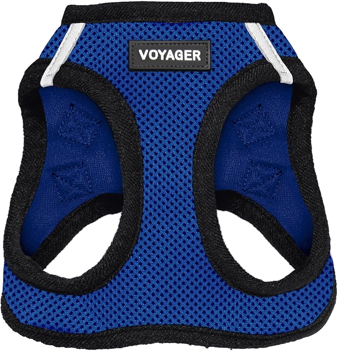 Best Pet Supplies Voyager Step-in Air Harness - All Weather Mesh, Reflective, No Pull Harness for Dogs, Cats - Secure with Hook & Loop Fastener, Buckle, Double D-Rings - Royal Blue/Black Trim, M