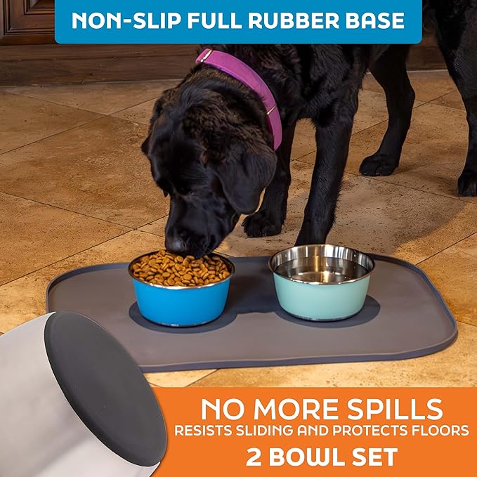 Master Pet Supply Stainless Steel Dog Bowls Set of 2 (32 Oz Each) with Non-Slip Rubber Base - Stainless Steel - Basic Dog Food Bowl Water & Food Bowls for Small Medium Large Dogs & Cats, Metal Dish