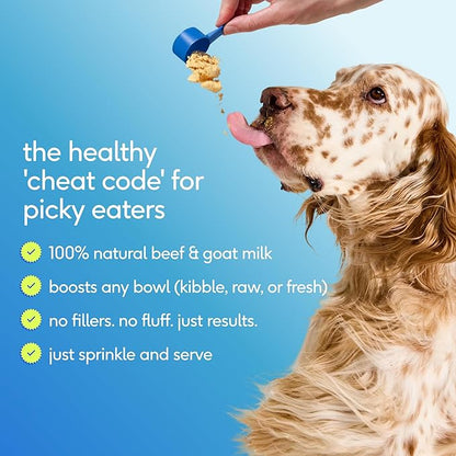 Native Pet The Daily Dog Vitamins & Supplements - 11-in-1 Multivitamin Powder for Dogs - Supports Whole Body Health, Digestion, Mobility & Immunity with Collagen, Glucosamine & Probiotics – 90 Scoops