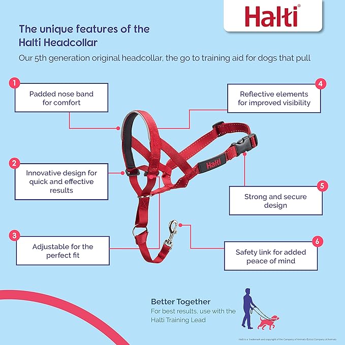 Halti Headcollar - Stop Your Dog Pulling on The Leash. Adjustable, Reflective and Lightweight, with Padded Nose Band. Dog Training Anti-Pull Collar for Large Dogs (Size 4, Red)