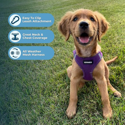 Best Pet Supplies Voyager Step-in Air All Weather Mesh Harness and Reflective Dog 5ft Leash Combo with Neoprene Handle, for Small, Medium and Large Breed Puppies - Set (Purple), XX-Small