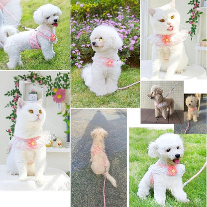 Cat Harness Collar and Leash Set, Sweet Lace Floral Kitten Collar, Escape Proof Puppy Chest Harness, Adjustable Cute Harness Leash Set for Cat Puppy Dog Outdoor Walking (Pink, M)