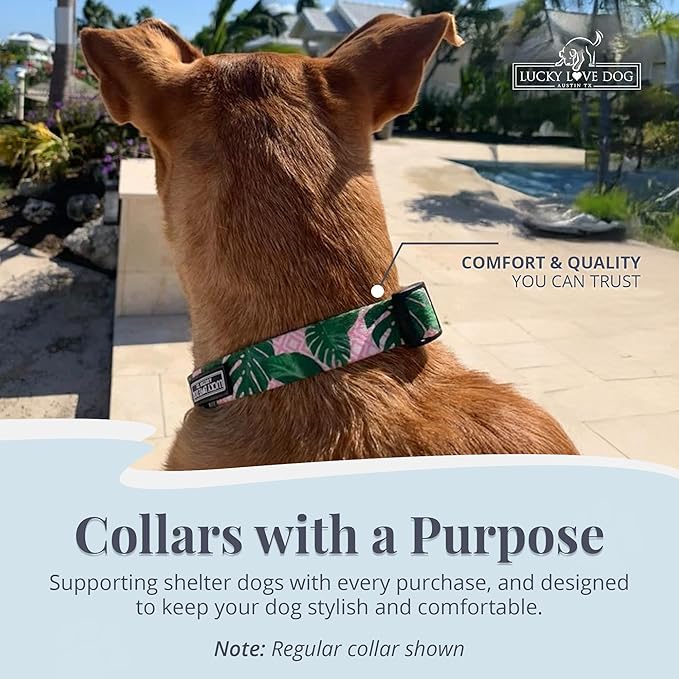 Lucky Love Dog Martingale Dog Collar - Adjustable, No-Slip, Comfortable, Durable, Soft Webbing & Stylish Patterned Collar for Male and Female Dogs Ideal for Training & Walking - Laguna, Large