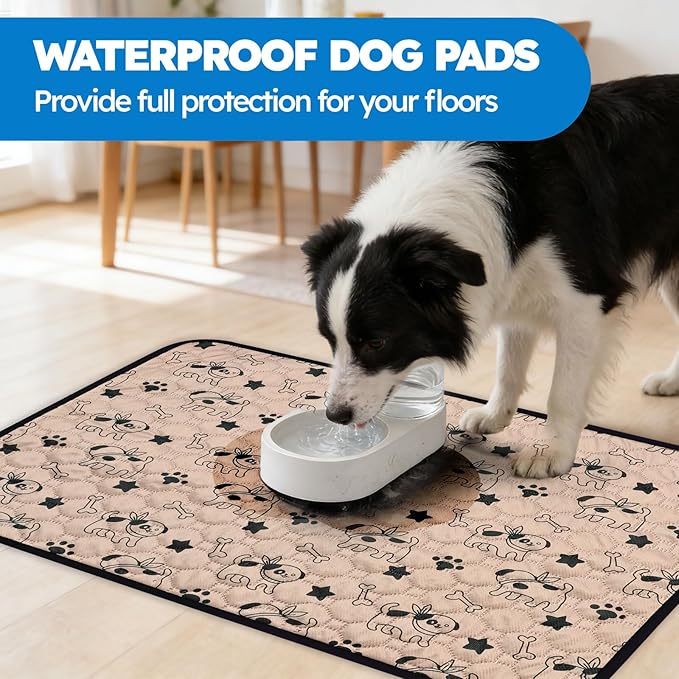 2 Pack Washable Pee Pads for Dogs, Absorbent Reusable Puppy Training Pads, Leakproof, Non-Slip, Waterproof Cat Doggie Pad Pet Potty Mat for Indoor&Outdoor, Whelping, Crate, Coffee 20"x28"