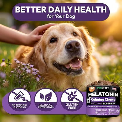 Advanced Melatonin for Dogs - 170 Dog Melatonin Calming Chews for Small and Large Dogs - Natural Hemp Dog Sleep Aid, Puppy Sleeping Pills, Anxiety, Stress, Separation, Barking, Fireworks - Made in USA