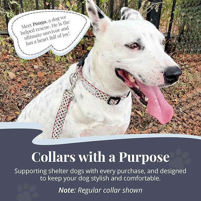 Lucky Love Dog Martingale Dog Collar - Adjustable, No-Slip, Durable, & Soft Webbing Collar for Male and Female Dogs Ideal for Training & Walking - in Unique Pongo Pattern, Medium Size