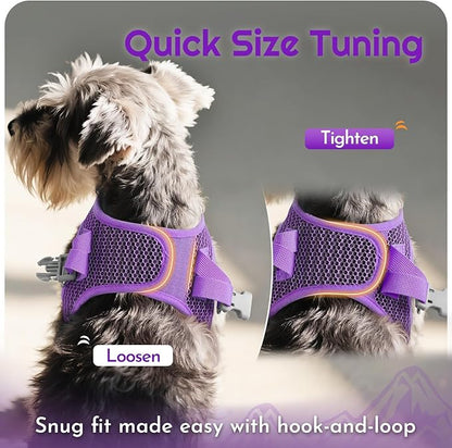 Eagloo Small Dog Harness and Leash Set, Step in Puppy Vest with Breathable Soft Mesh, Walking Reflective Pet Harness for Small Dogs, Purple, XXS