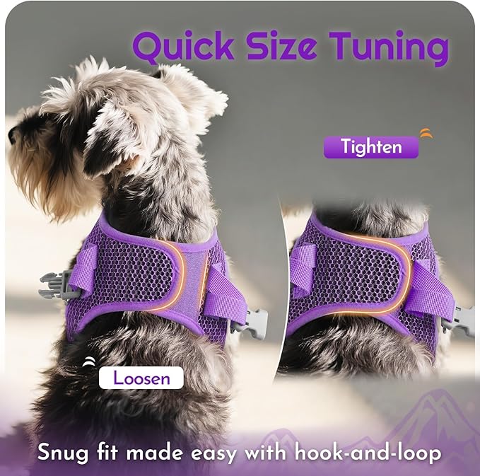 Eagloo Small Dog Harness and Leash Set, Step in Puppy Vest with Breathable Soft Mesh, Walking Reflective Pet Harness for Small Dogs, Purple, XS