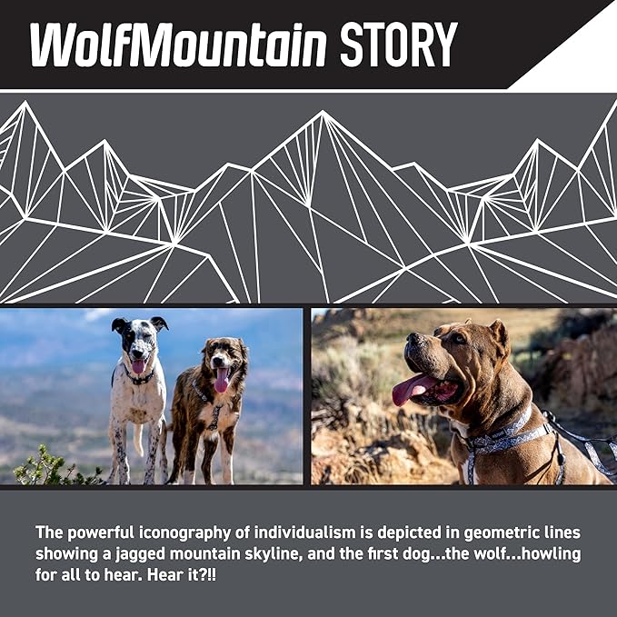 Wolfgang Heavy Duty Adjustable Dog Harness, Pull-Tested to Over 800 lbs for Walking & Training, WolfMountain Print, Large