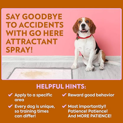 OUT! PetCare Go Here Attractant Dog and Puppy Potty Training Spray, Safe & Effective Puppy Pee Spray, Dog Housebreaking Supplies, Indoor and Outdoor House Training Tool, 32 oz