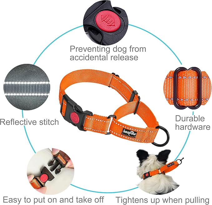haapaw Martingale Dog Collar with Quick Release Buckle Reflective Dog Training Collars for Small Medium Large Dogs