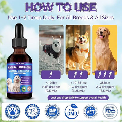 Dog Antibiotics Support - 2PCS Natural Antibiotics Care for Dogs Herbal Supplement for Cough Allergy Itch Relief Immune Support Dog UTI Comfort for All Breeds & Ages - 120 ml/4 Fl Oz Bacon Flavor