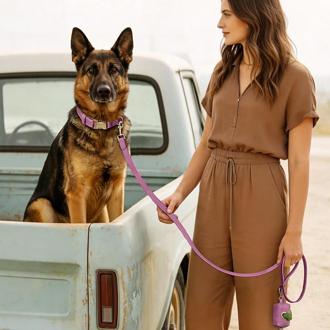 Didog Soft PU Leather Dog Collar, Stylish Quick Released Dog Collars for Large Dogs, Easy Clean Adjustable Pet Collar for Daily Walking, Purple, XL Fit 20-26" Neck