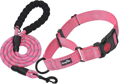 haapaw Martingale Dog Collar with Quick Release Buckle Reflective Dog Training Collars for Small Medium Large Dogs