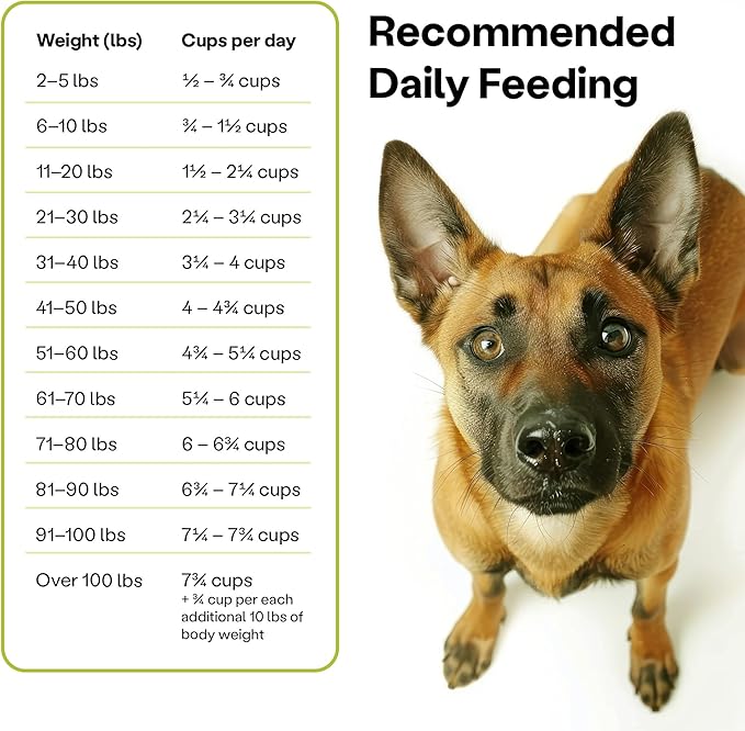 Wild Earth Vegan Dry Dog Food Performance Formula | Plant-Based Vegetarian Kibble | Wheat-Free, Allergen-Free, Veterinarian-Developed | Veggie Supreme Flavor, 18lb Bag