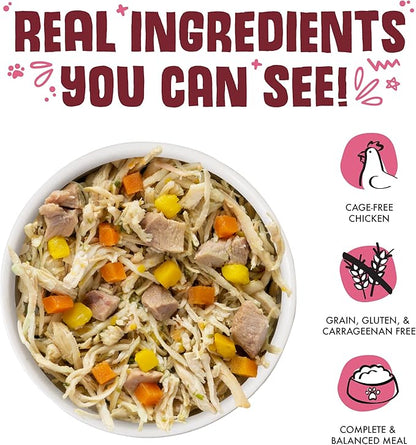 Weruva Classic Dog Food, Peking Ducken with Chicken & Duck in Gravy, 5.5oz Can (Pack of 24), Multi