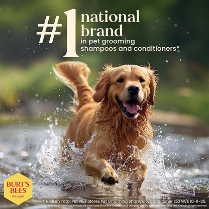 Burt’s Bees for Pets Oatmeal Dog Shampoo with Honey, Soothing Dog Shampoo for Itchy and Sensitive Skin, pH Balanced Formula that Gently Cleans and Moisturizes Dog Coats, 16 Fl Oz - 6 Pack