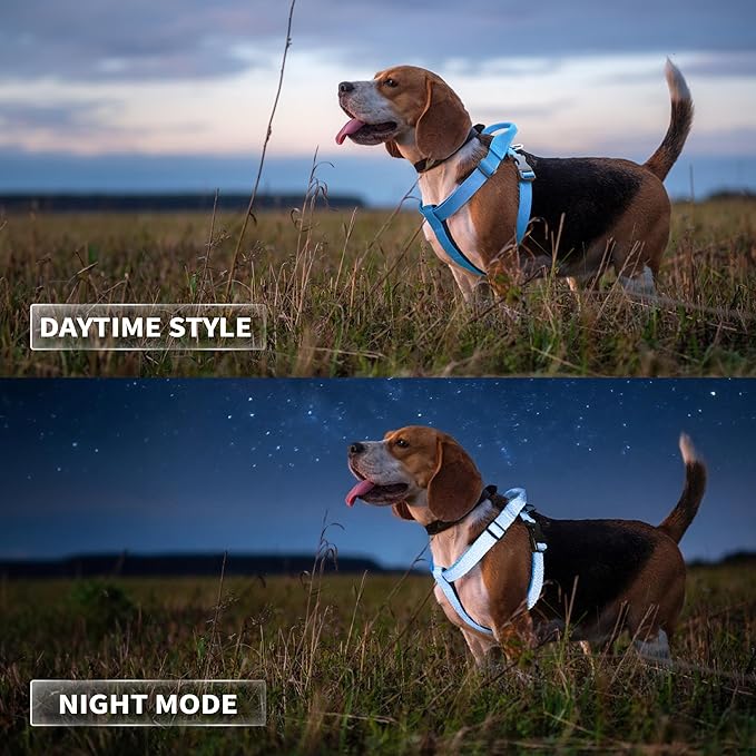 Galaxy Reflective Dog Harness,Adjustable 4-Point Fit,Anti-Pinch Buckles,Back-Clip Control & Emergency Handle,Velvet Lined for Small, Medium and Large Dogs, (Blue, M)