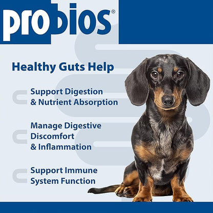 Probios for Dogs Soft Chews, Probiotics for Dogs, Daily Supplement for Gut Health, Digestion & Immune Support, Small Breeds, 4.23oz