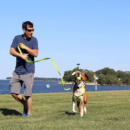 Pawtitas Solid 6 ft Black Dog Leash M/L Custom Name and Phone Embroidery Strong Nylon Leash for Medium and Large Breeds