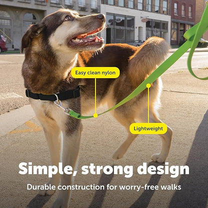 PetSafe Nylon Leash - Helps Maintain Secure Connection on Walks - Durable Pet Leash with Easy Clip - 1 in. x 6 ft. - Apple Green
