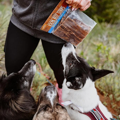 Cadet 100% Beef Strip Long Lasting Chews for Dogs, Single Ingredient Beef Esophagus Dog Treats, Natural High Protein Rawhide Alternative for Small & Large Dogs, 2.8 Ounce