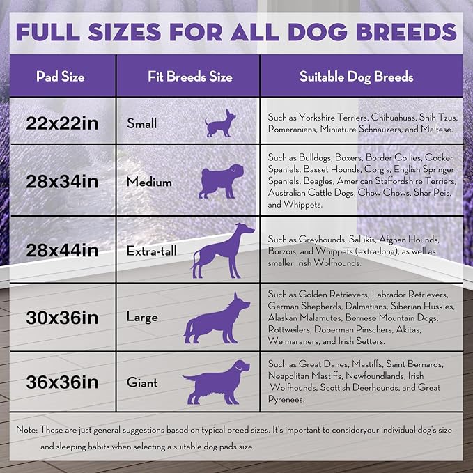 CROCI 22x22in Puppy Pads 100 Count with Adhesive Tabs, Dog Pads Absorbs Up to 3 Cups Potty Training, Disposable