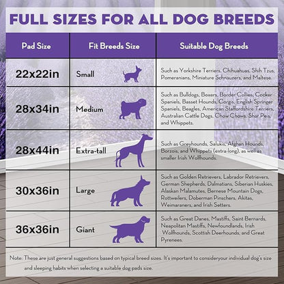 CROCI 22x22in Puppy Pads 100 Count with Adhesive Tabs, Dog Pads Absorbs Up to 3 Cups Potty Training, Disposable