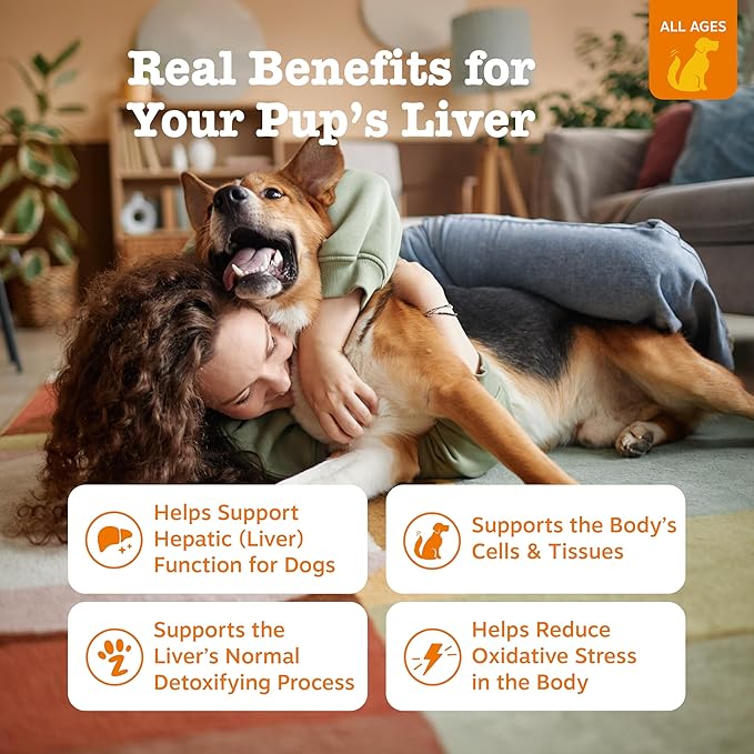 Zesty Paws Liver Support Supplement for Dogs - with Milk Thistle Extract, Turmeric Curcumin, Choline - Soft Chew Formula - for Dog Liver Function
