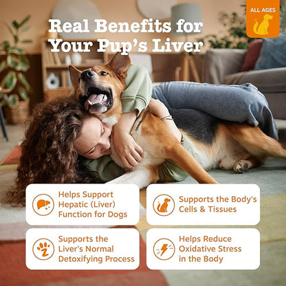 Zesty Paws Liver Support Supplement for Dogs - with Milk Thistle Extract, Turmeric Curcumin, Choline - Soft Chew Formula - for Dog Liver Function