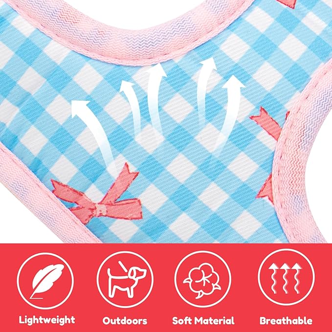 Coppthinktu Dog Harness for Small Sized Dogs, Puppy Cat Harness with Leash Set No Pull Dog Harness Adjustable Reflective Step-in Pet Vest Harnesses with Cute Bow Soft Padded Outdoor Walking