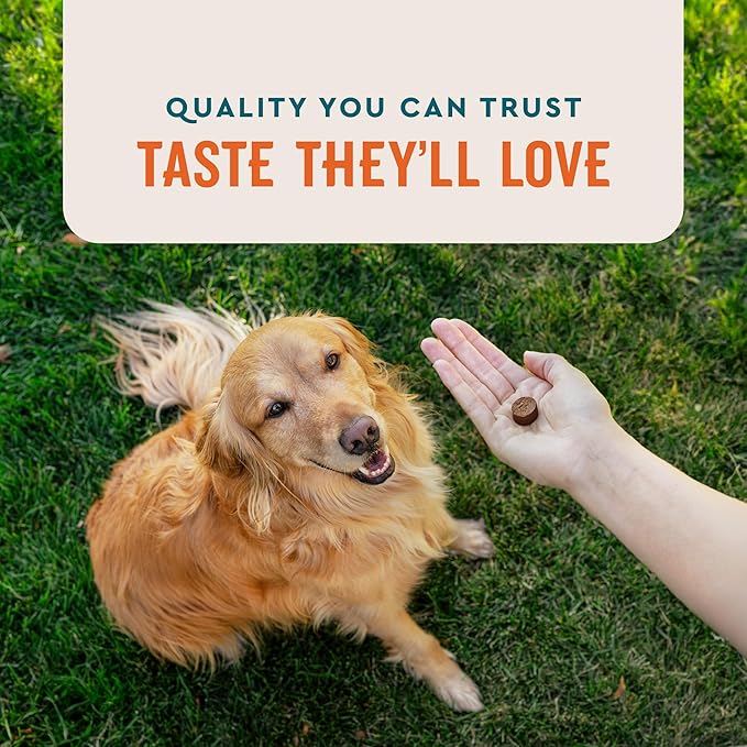 VetIQ Allergy Pro+ Soft Chews for Dogs, Dog Allergy Chews, Seasonal Support, Colostrum, Astragalus Root, Sporevia, Hickory Smoke Flavor, 60 Count