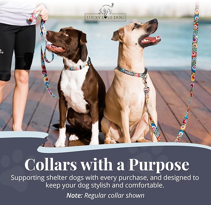 Lucky Love Dog Martingale Dog Collar - Adjustable, No-Slip, Durable, & Soft Webbing Collar for Male and Female Dogs Ideal for Training & Walking - Blackbird, Medium