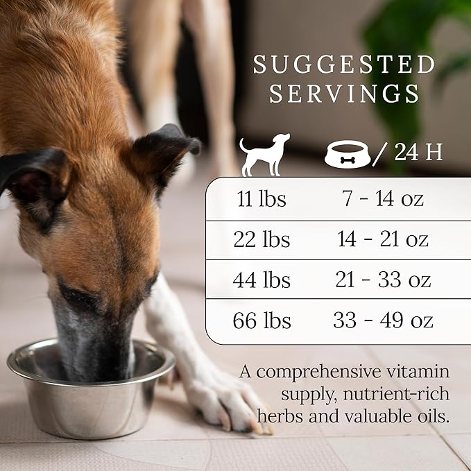 DOG'S LOVE Beef Canned Dog Food Wet, Grain-Free Wet Dog Food - Human-Grade Quality, Single Protein - Rich in Essential Nutrients, Healthy Choice for Better Digestion & Immunity - 6 Cans (14.1 Oz Each)