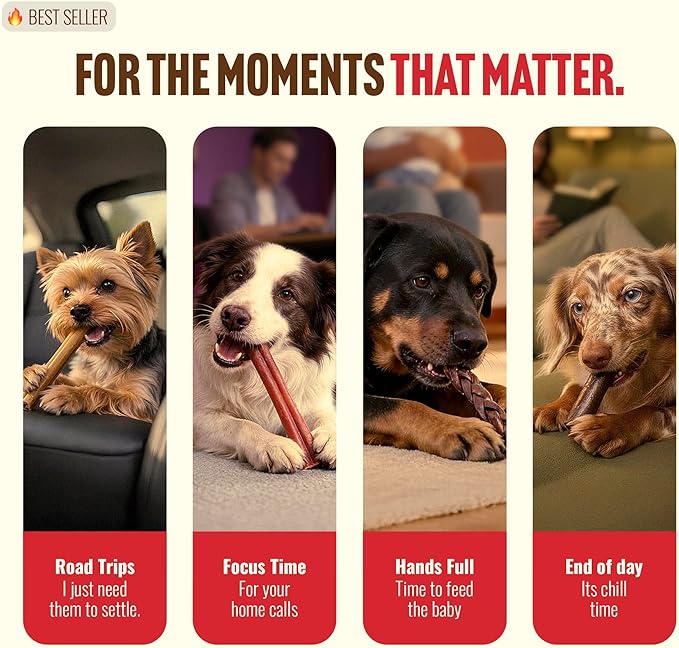 Natural Farm Odor-Free Collagen Chews, (12-Inch, 12-Pack), Long Lasting Bully Sticks & Rawhide Alternative Dog Treats, 95% Collagen, High Protein Best Dental Dog Treats – Medium & Large Dogs