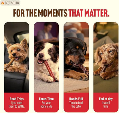 Natural Farm Odor-Free Collagen Chews, (12-Inch, 12-Pack), Long Lasting Bully Sticks & Rawhide Alternative Dog Treats, 95% Collagen, High Protein Best Dental Dog Treats – Medium & Large Dogs