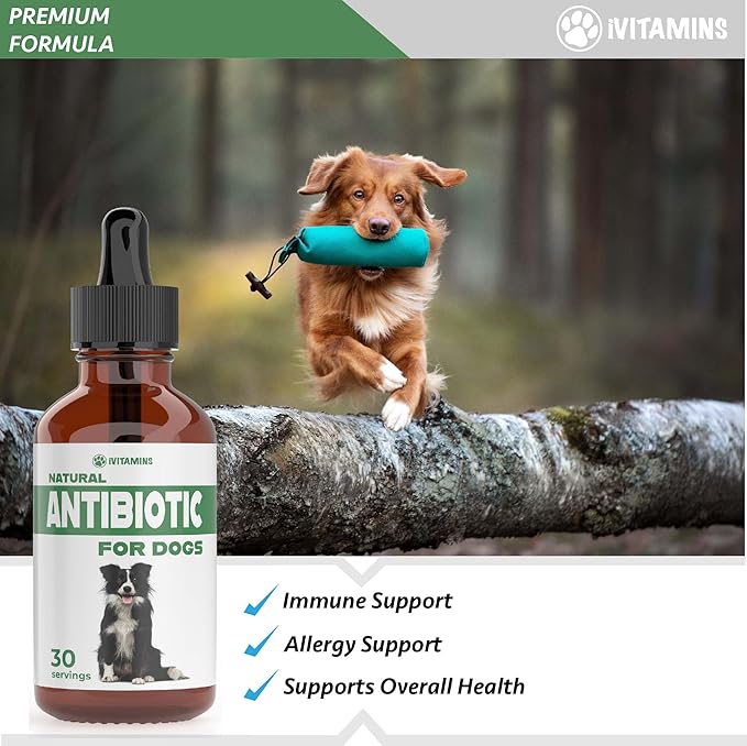 Natural Dog Antibiotics - Antibiotics for Dogs - Yeast Infection Treatment for Dogs - Dog Yeast Infection Treatment - Itch Relief - 1 fl oz - Bacon Flavor