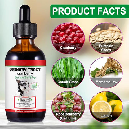 Dog UTI Treatment - Urinary Tract Infection Treatments, Kidney+Bladder Support Supplement, Natural Cranberry Extract for Dogs, Supports Urinary and Digestive Health (2 Fl Oz (Pack of 2))